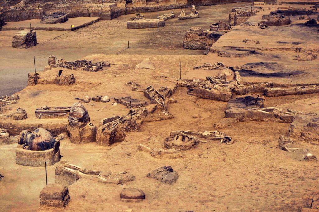 general view of the cemetery 1 1 1 scaled.jpg