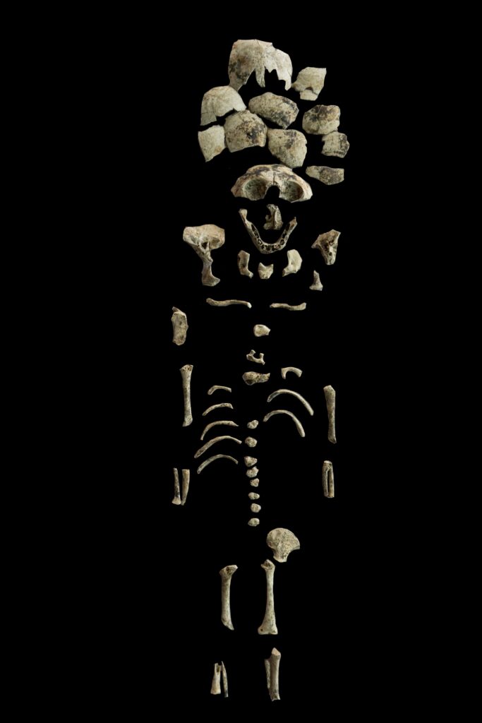tf1040 1.jpg