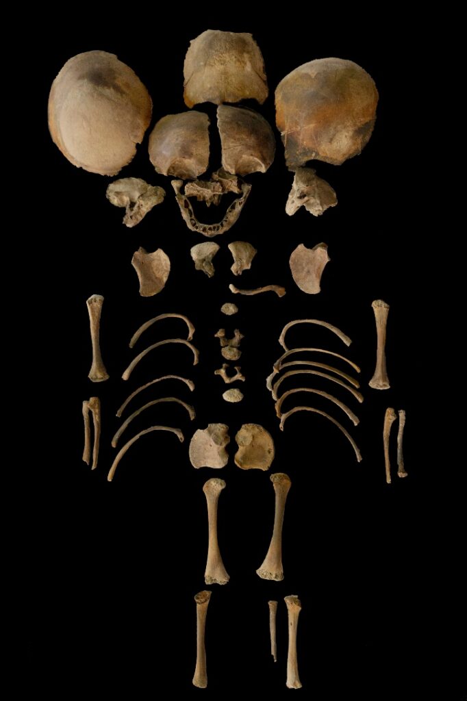 tf1435 1.jpg